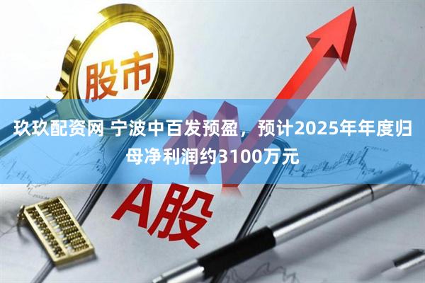 玖玖配资网 宁波中百发预盈，预计2025年年度归母净利润约3100万元