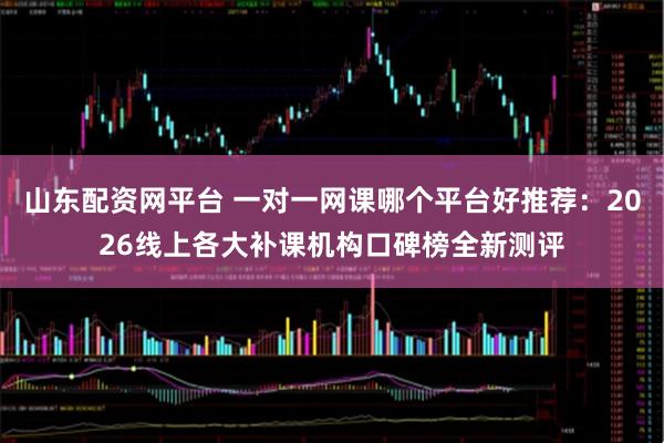 山东配资网平台 一对一网课哪个平台好推荐：2026线上各大补课机构口碑榜全新测评