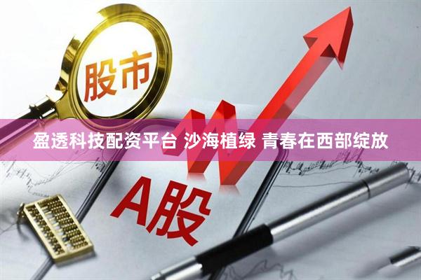 盈透科技配资平台 沙海植绿 青春在西部绽放